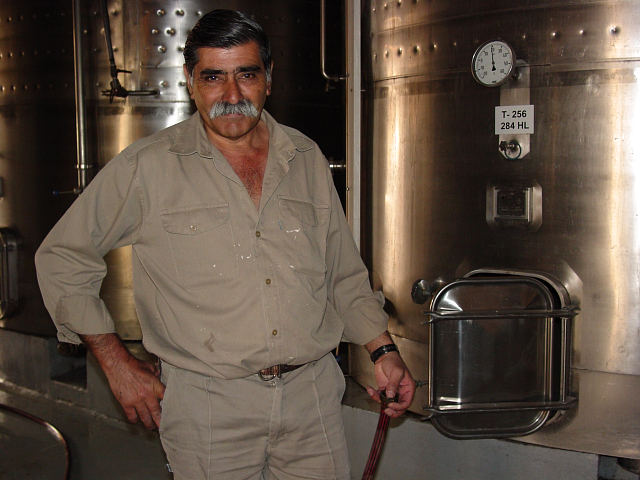 Worker at the Bodega La Rural winery, Maip�, Mendoza Province