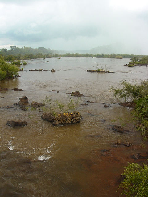 Iguaz� (1)