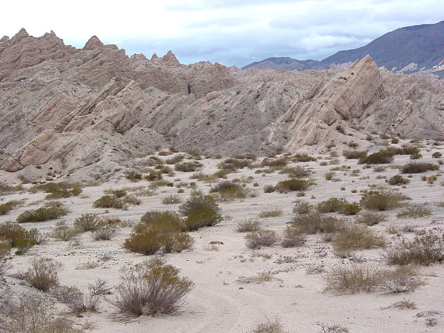 In the unearthly Quebrada de las Flechas