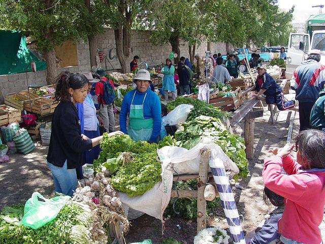 Quechua Indian market in Purmamarca