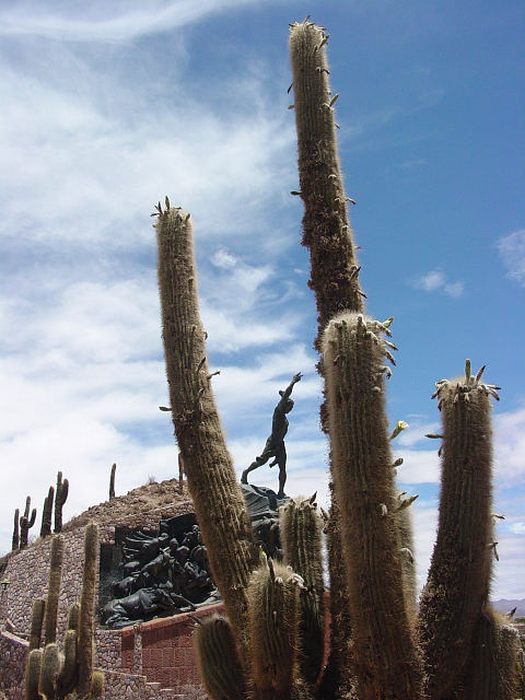 The monument glimpsed through a thicket of cacti