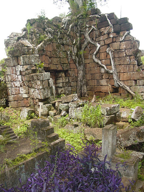 Santa Ana cemetery (1)