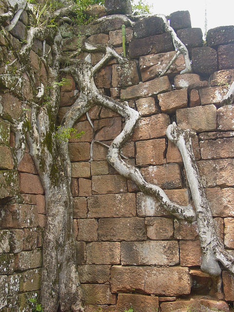 In the Santa Ana cemetery, 3