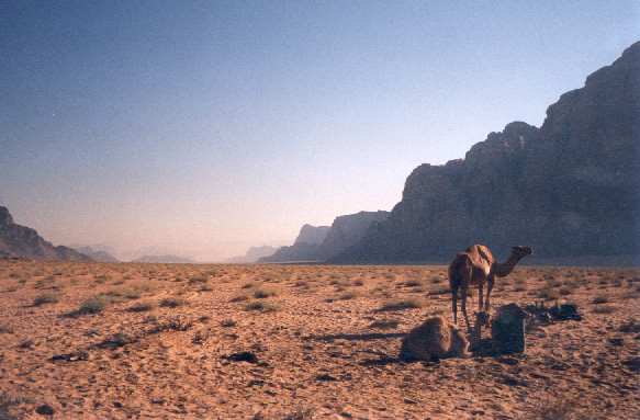 Wadi Rum, Jordan (Photo) (26k)