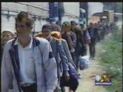 Muslim men being led off to their deaths at Srebrenica (photo, 8k)