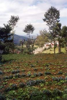 Countryside near Kenscoff